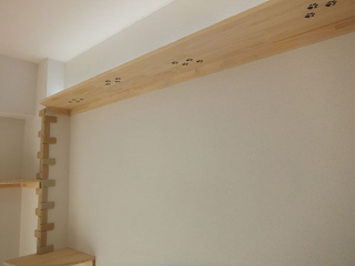 Illustration for article titled Japan's Cat Apartments Come with... Cats